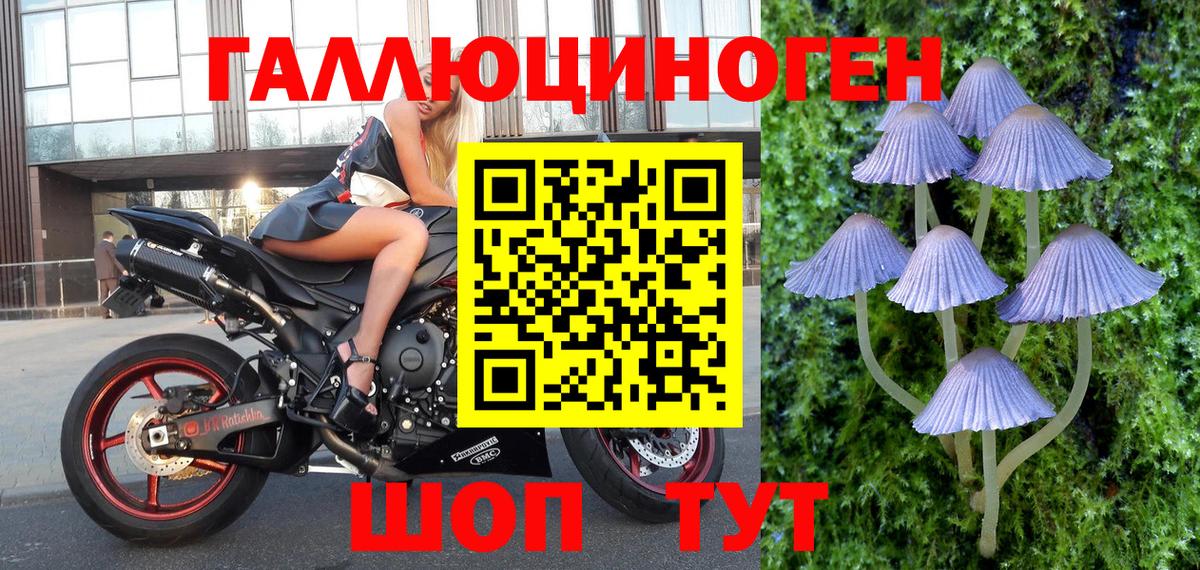 Тайшет  Псилоцибиновые грибы GOLDEN TEACHER  Вход с VPN  Галлюциногенные грибы прущие грибы 