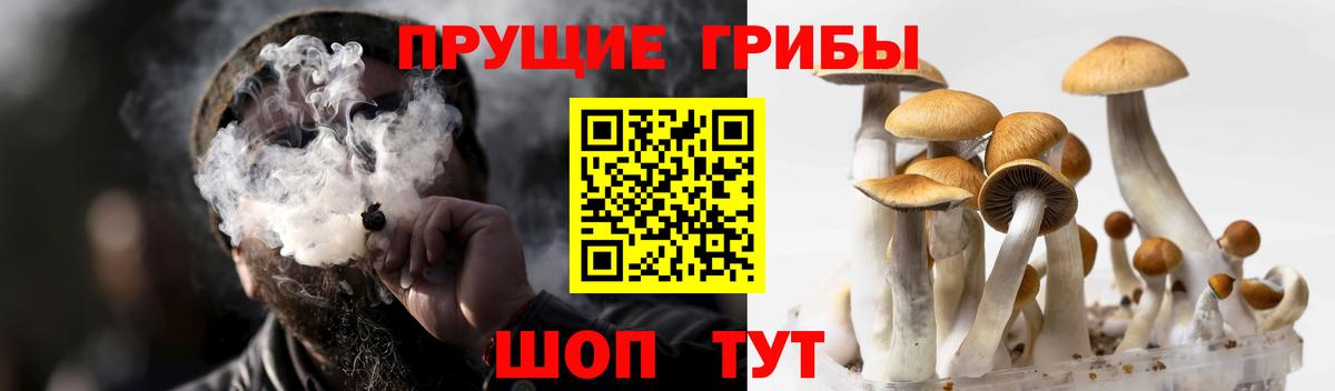Псилоцибиновые грибы Magic Shrooms Тайшет